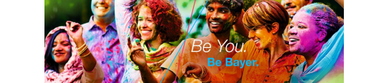 post header logo